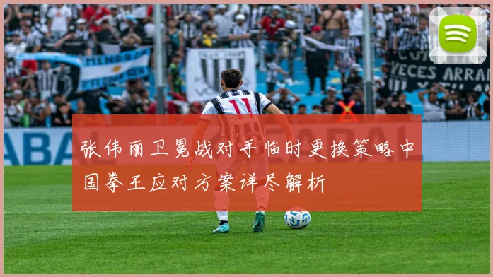 张伟丽卫冕战对手临时更换策略中国拳王应对方案详尽解析