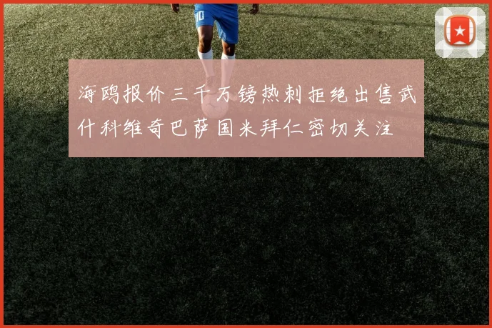 海鸥报价三千万镑热刺拒绝出售武什科维奇巴萨国米拜仁密切关注