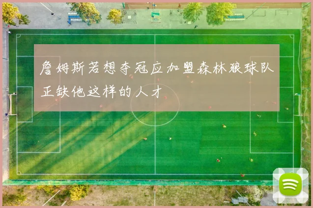 詹姆斯若想夺冠应加盟森林狼球队正缺他这样的人才